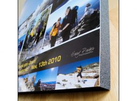 ក្រុមប្រឹក្សាភិបាលរបស់ Gator