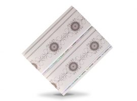 បន្ទះប្លាស្ទិច