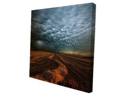 ផ្ទាំងក្រណាត់ដែលបានពង្រីកមុន